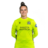 Player cutout