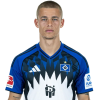Player cutout