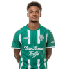 Player cutout