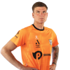 Player cutout