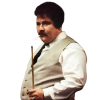 Player cutout