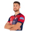 Player cutout