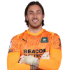 Player cutout