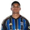 Player cutout