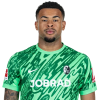 Player cutout