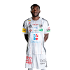 Player cutout