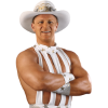 Player cutout