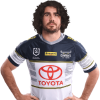 Player cutout