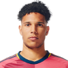 Player cutout