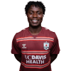 Player cutout