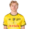 Player cutout
