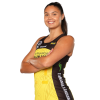 Player cutout