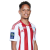 Player cutout
