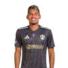 Player cutout