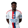 Player cutout