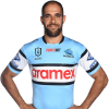 Player cutout