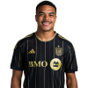 Player cutout