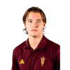 Player cutout