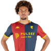 Player cutout