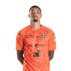 Player cutout