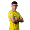 Player cutout