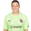 Player cutout