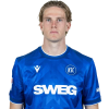 Player cutout
