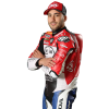 Player cutout
