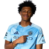 Player cutout