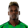 Player cutout