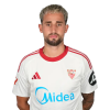Player cutout
