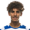 Player cutout