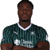 Player cutout