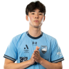 Player cutout