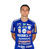 Player cutout
