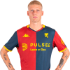 Player cutout