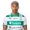 Player cutout