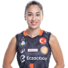 Player cutout