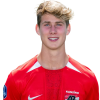 Player cutout