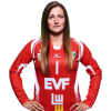Player cutout