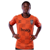 Player cutout