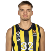 Player cutout