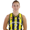 Player cutout