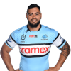 Player cutout