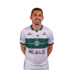 Player cutout