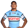 Player cutout