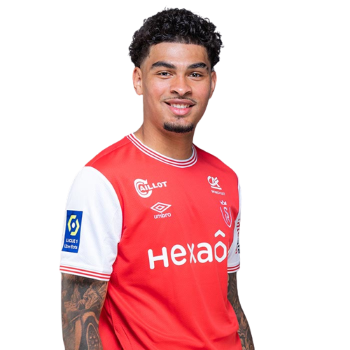 Noah Holm profile image