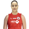 Player cutout