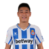 Player cutout