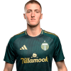 Player cutout